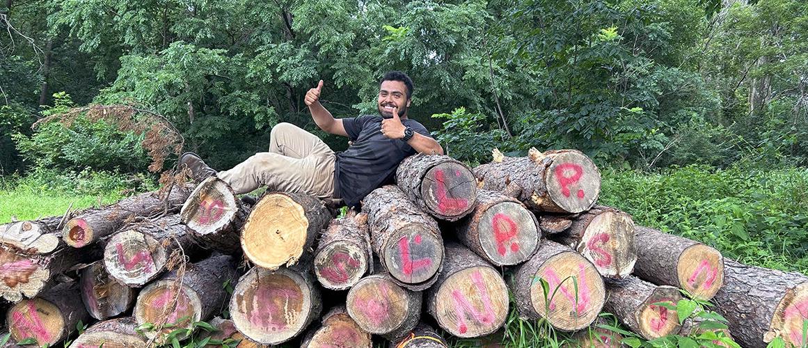 Cesar Martinez / 13 logs