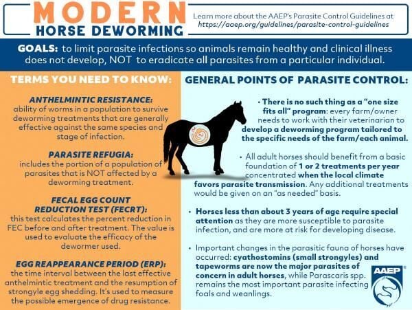 Horse deworming guidelines