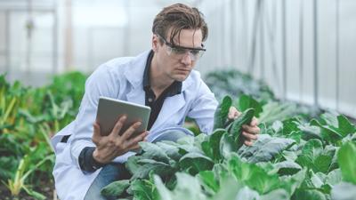 Will precision nutrition determine the future of farming?