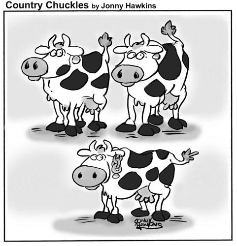 Country Chuckles by Jonny Hawkins