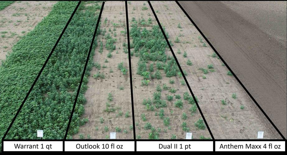 Bare soils residuals