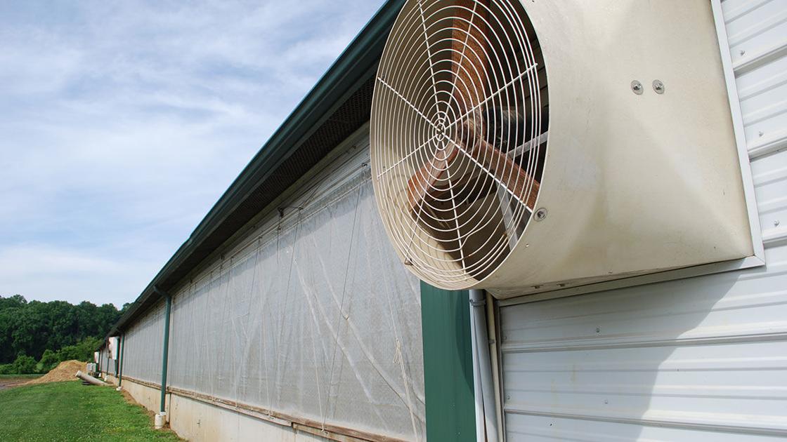 Prepare hog barn ventilation systems for winter pressure Livestock