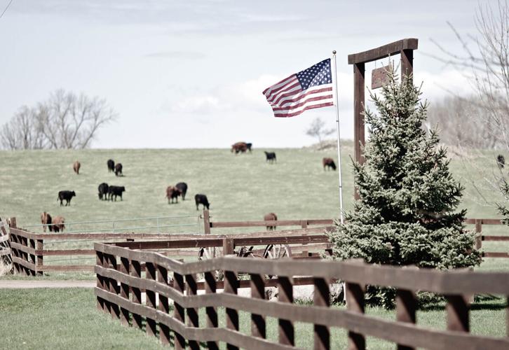 DLCC Ranch