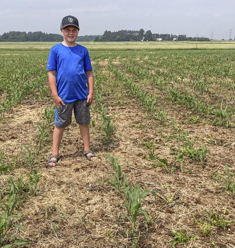 Field of Dreams: Meet the brothers behind the cornfield