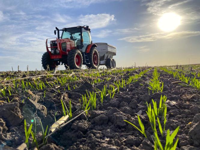 Tractor in oat field