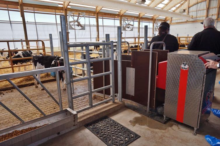 Checking out the design