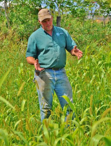 Nathan Kling in field