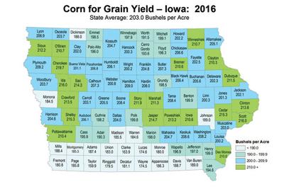 2016 Iowa Corn Yields