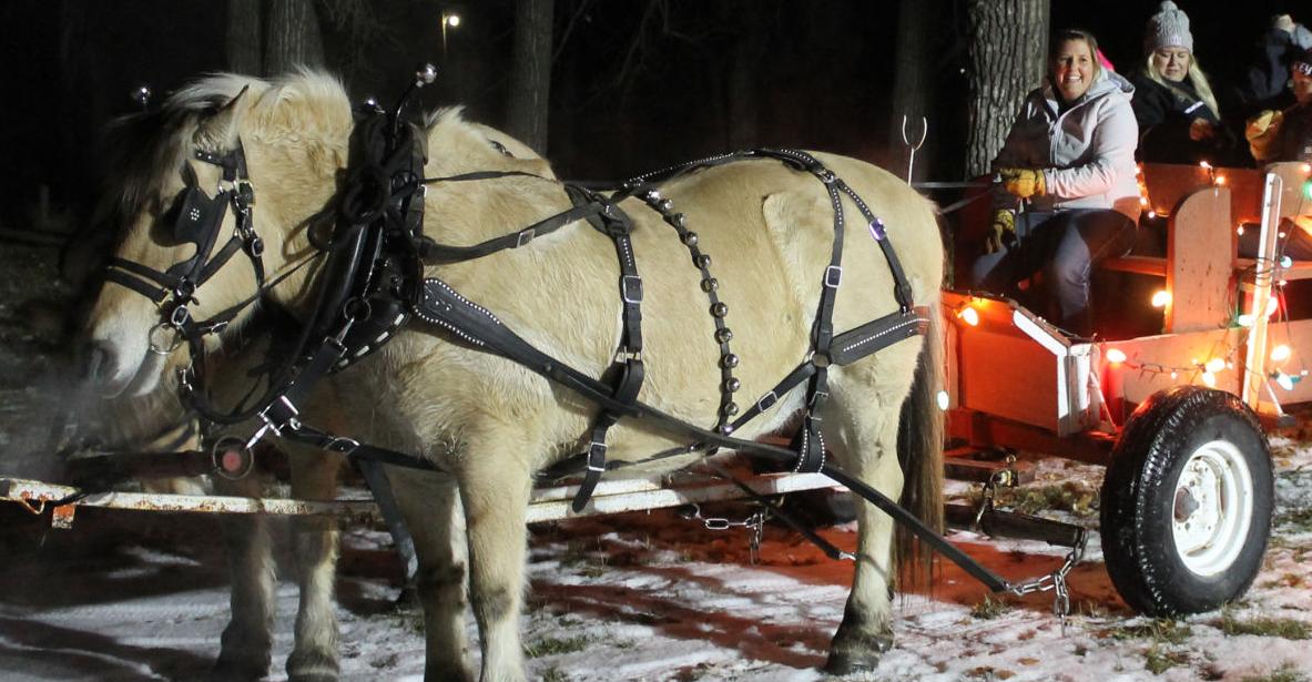 Jingle bells Riding in twohorse open wagon Livestock
