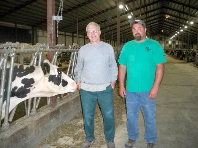 Cow comfort is key at Maple Creek Dairy