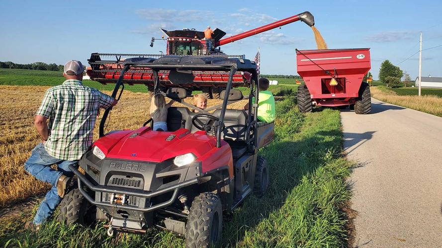 IL wheat harvest with family