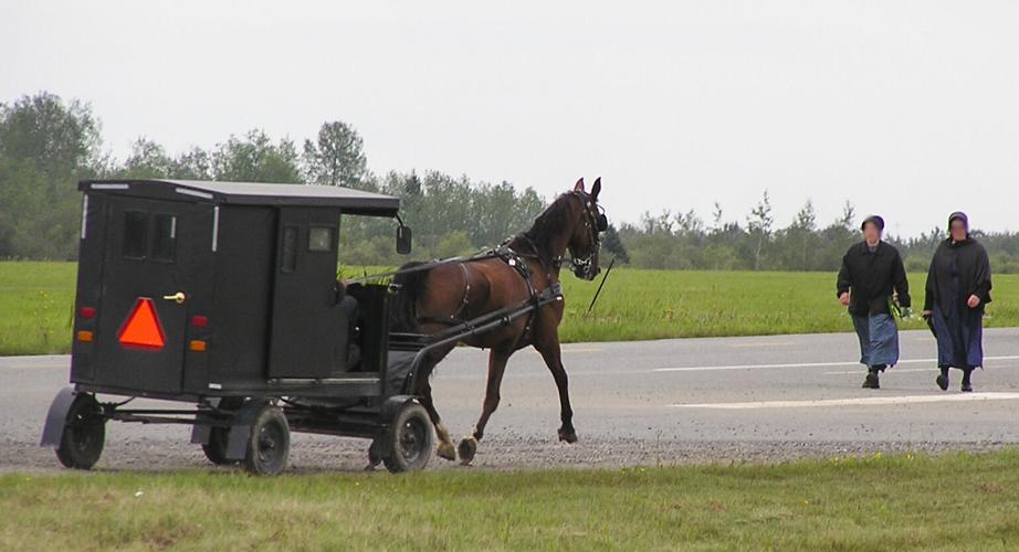 Horse-drawn buggy Amish