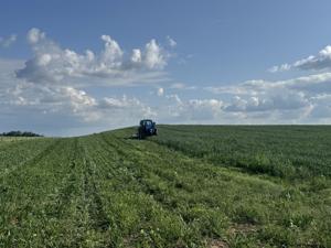 Grassland restoration (42).jpg