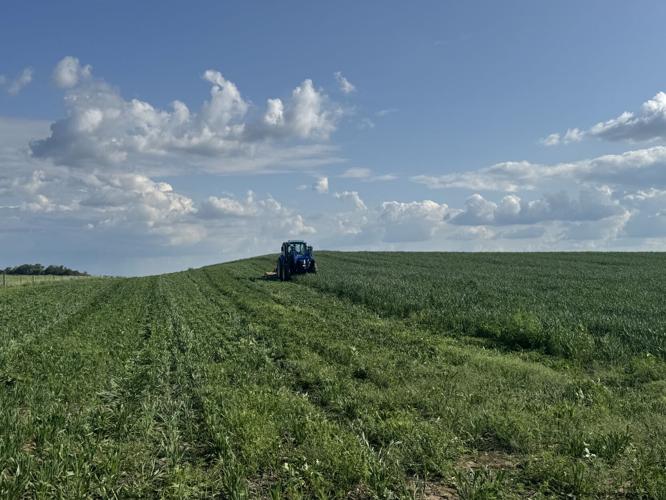 Grassland restoration (42).jpg