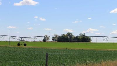 Blue Grass Enterprises sod farm