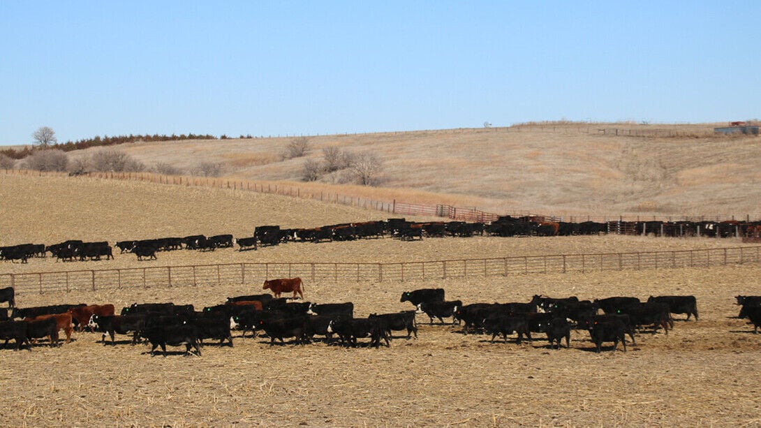 Grazing Exchange