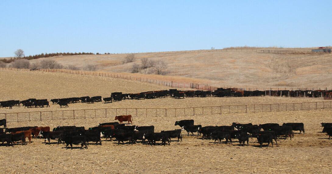 Grazing Exchange