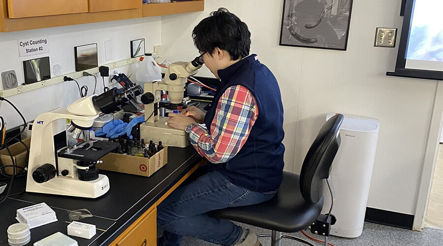 SCN management 1.jpg