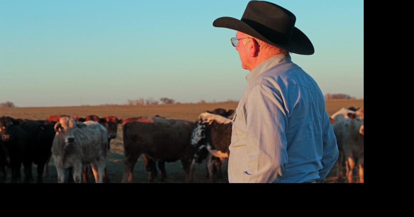 ‘Systems thinking’ needed for tech in cattle industry