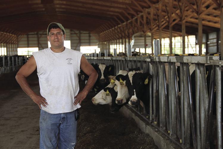 Tim Servais in freestall barn