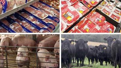 Pork_Beef-w-animals-and-meat