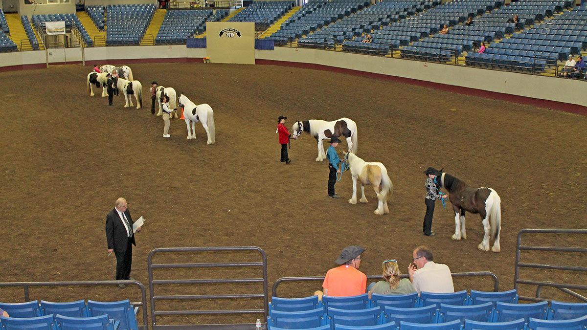 Mathewson Exhibition Center in Sedalia