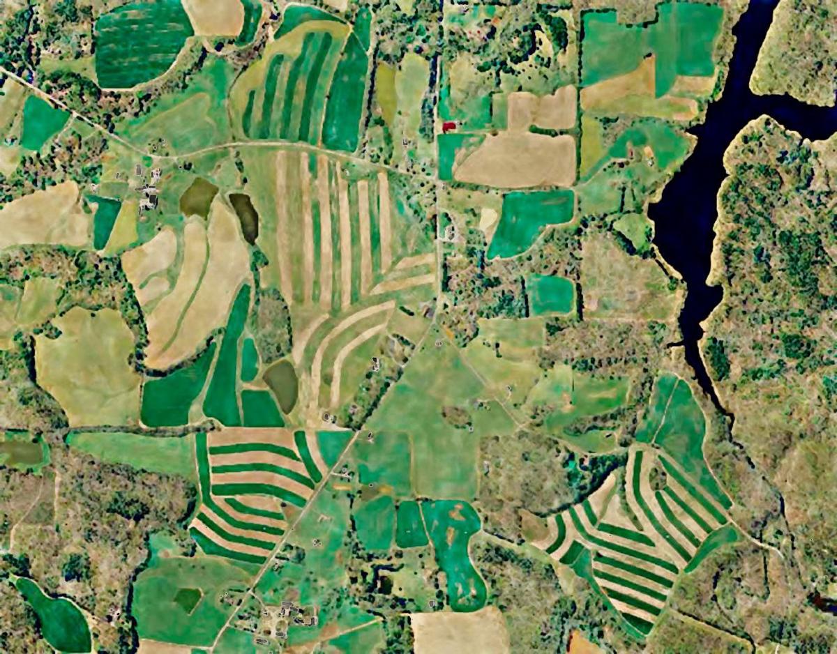 Large farms increase farmland price Crops