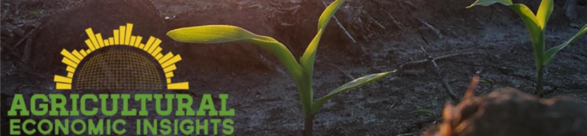 Agricultural Economic Insights logo