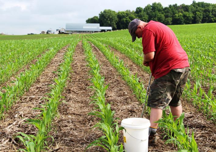 Soil sampling