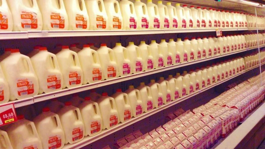 Milk on store shelves