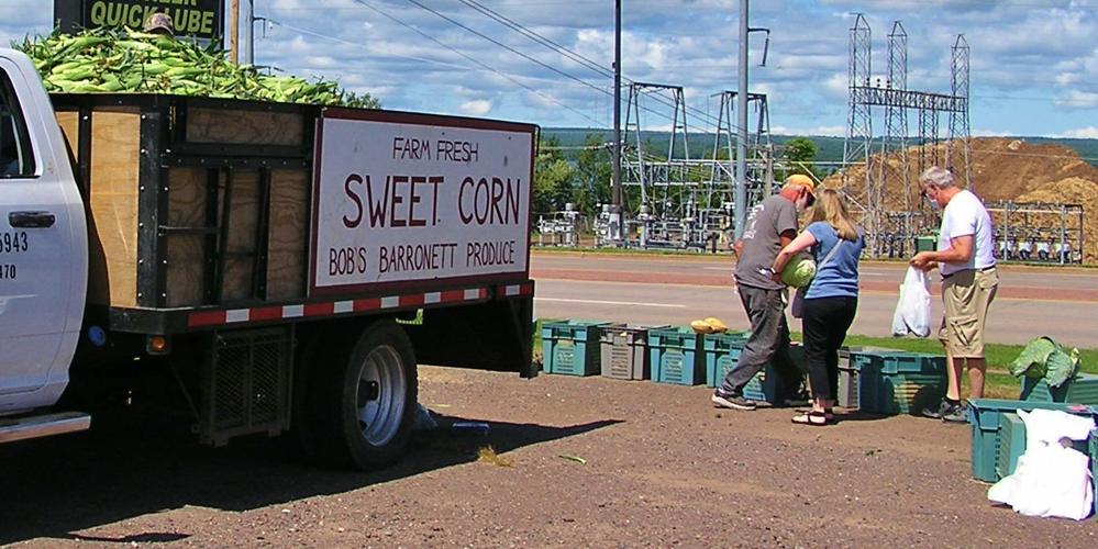 Sweet corn for sale
