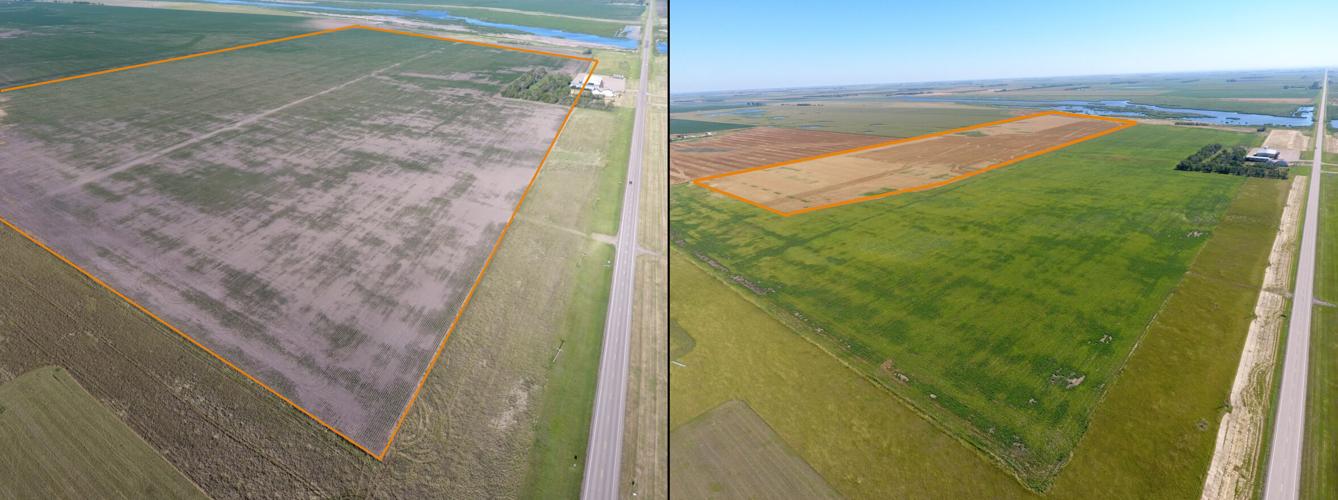 Saline areas 2.jpg