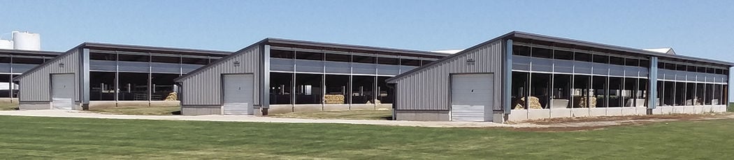 Double S Dairy cow barn