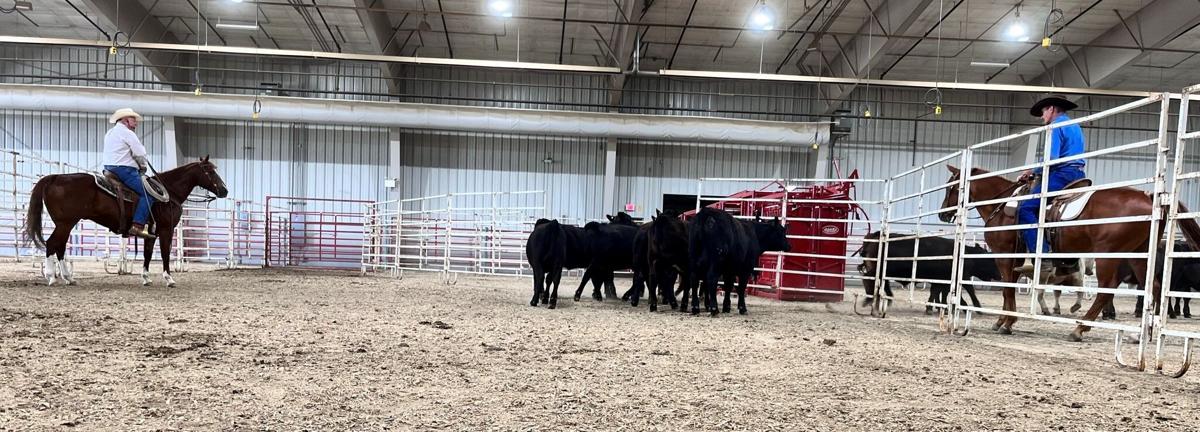 Stockmanship and stewardship 2.jpeg