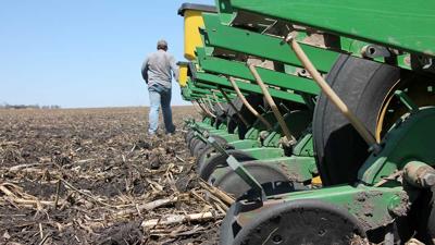 planting into wet or dry soils