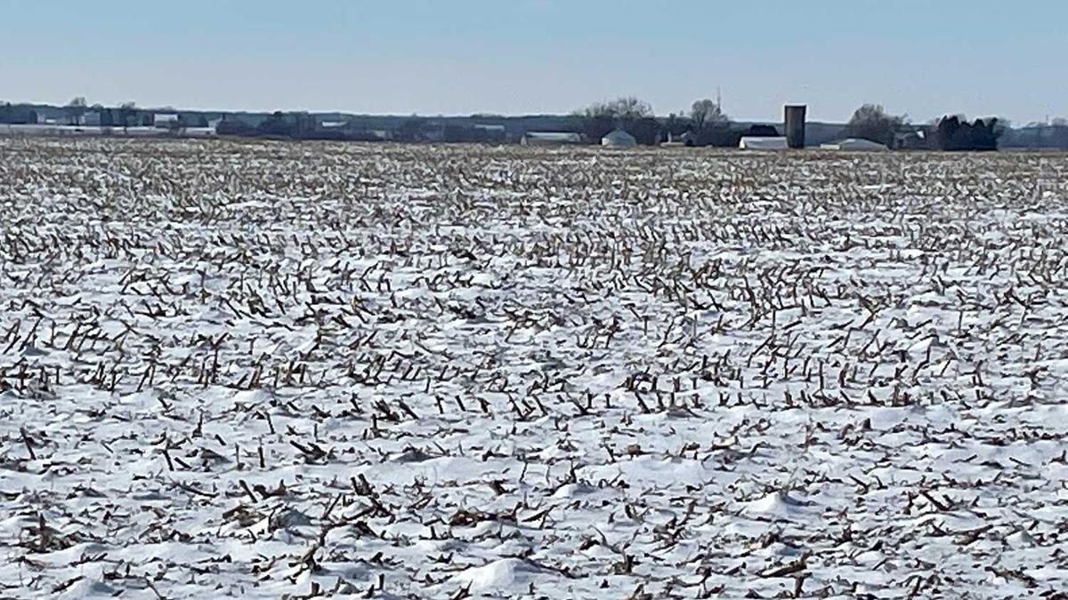 corn-stubble-and-snow