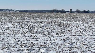 corn-stubble-and-snow