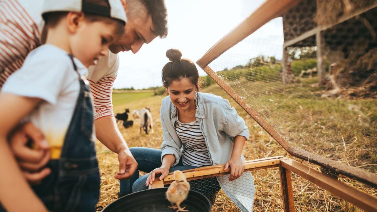 Managing family members on the farm offers challenges