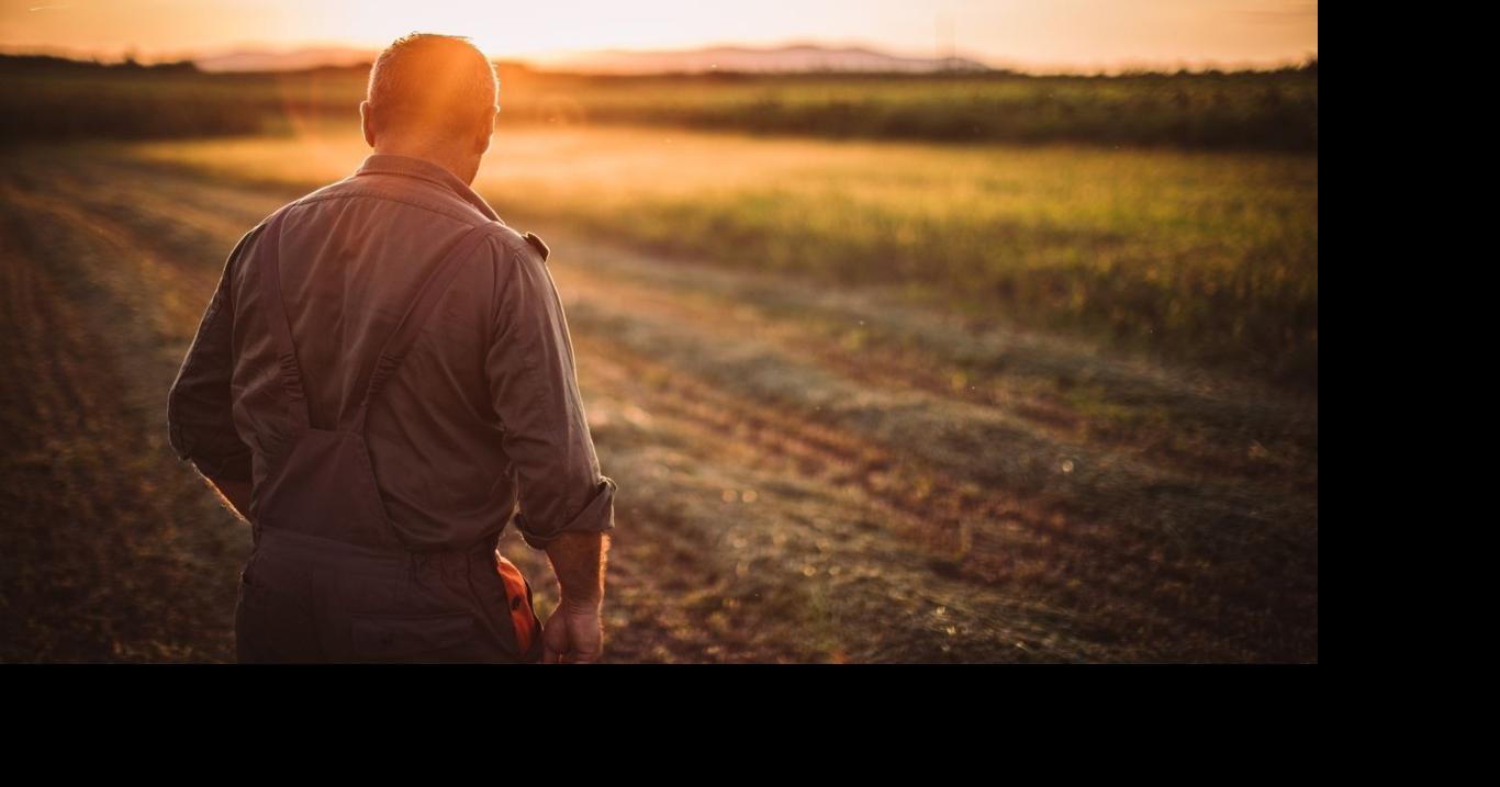 Navigating farm succession without an heir