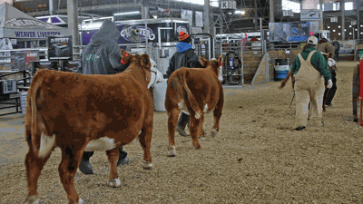 Iowa Beef Expo