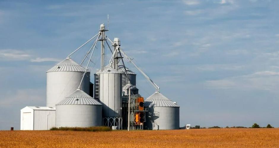 Grain bins on farm
