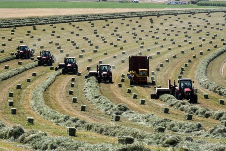 Baling ryegrass in Washington State