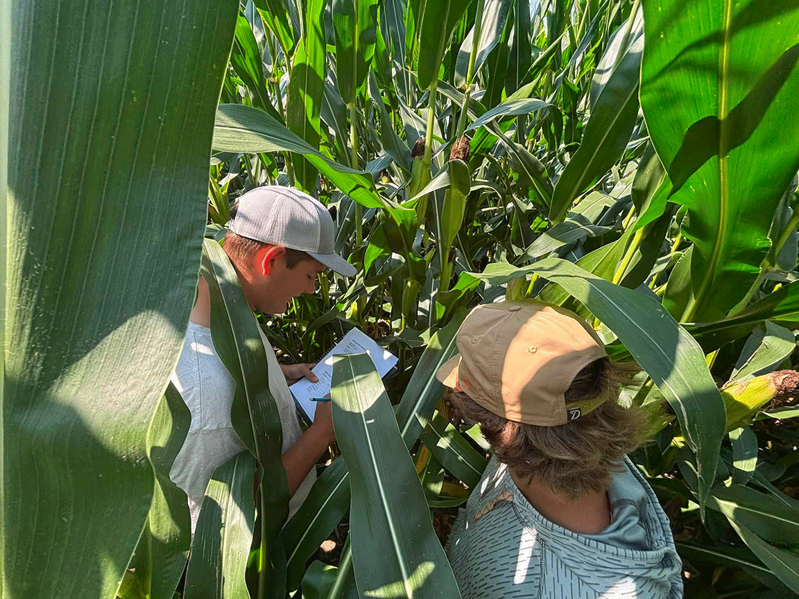 Kirkwood Community College students work in the school’s test plot