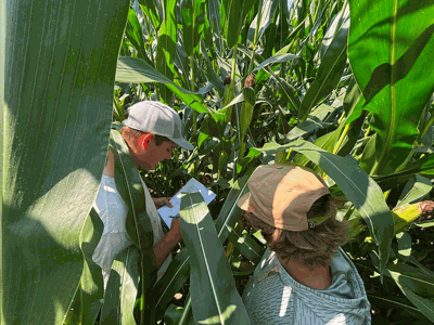 Kirkwood Community College students work in the school’s test plot
