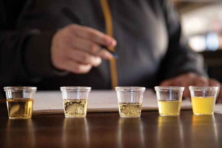 Hard cider samples