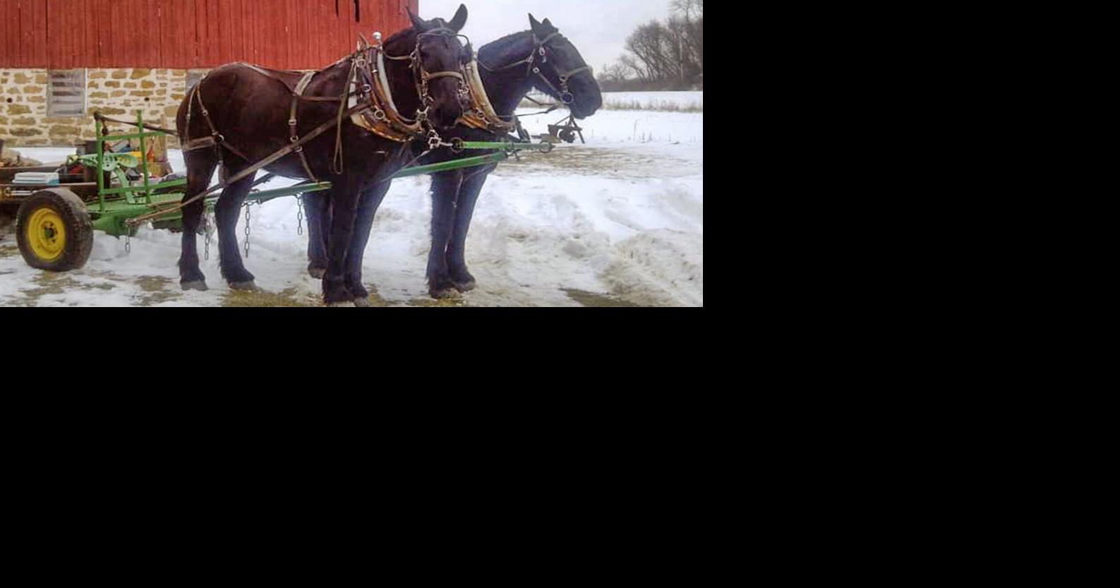 Barn Boards and Baling Wire