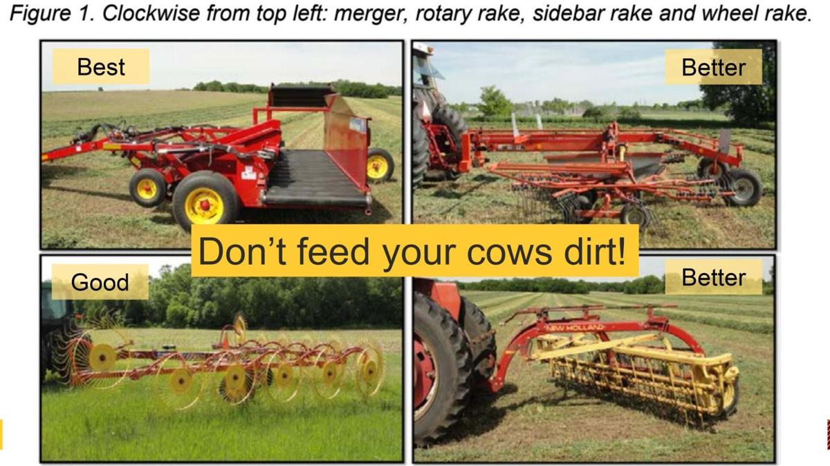 Don't feed dirt