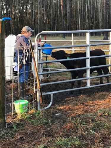 Dr. Wheeler with one of 1_2 blood bottle calves