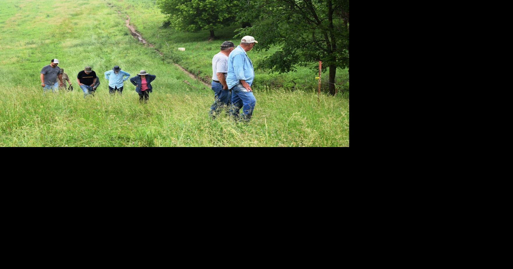 Dairy grazier creates lanes