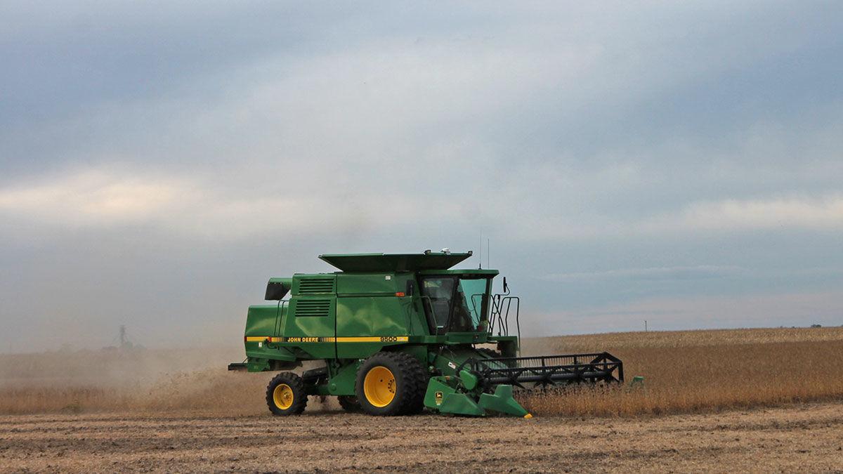 Harvesting soybeans near Jewell in Hamilton County.
